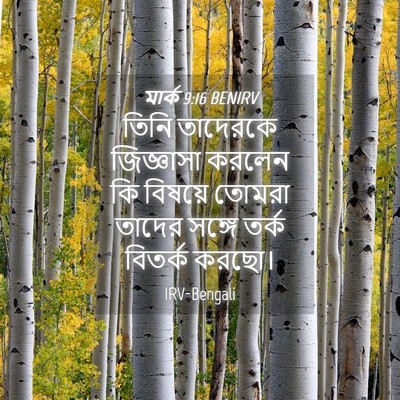 Picture 04 - মার্ক 9:16 BENIRV - তিনি তাদেরকে - Bible Verse Picture