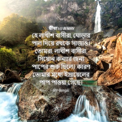 Picture 04 - মীখা 1:13 BENIRV - হে লাখীশ বাসীরা, - Bible Verse Picture