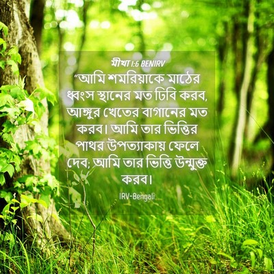 Picture 04 - মীখা 1:6 BENIRV - “আমি শমরিয়াকে - Bible Verse Picture