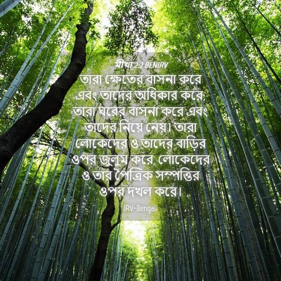 Picture 04 - মীখা 2:2 BENIRV - তারা ক্ষেতের - Bible Verse Picture