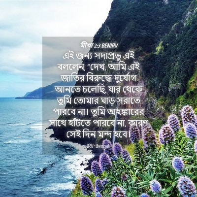 Picture 04 - মীখা 2:3 BENIRV - এই জন্য সদাপ্রভু - Bible Verse Picture