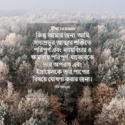 Picture 04 - মীখা 3:8 BENIRV - কিন্তু আমার জন্য, - Bible Verse Picture