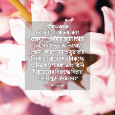 Picture 04 - মীখা 6:2 BENIRV - তোমরা পাহাড়রা - Bible Verse Picture