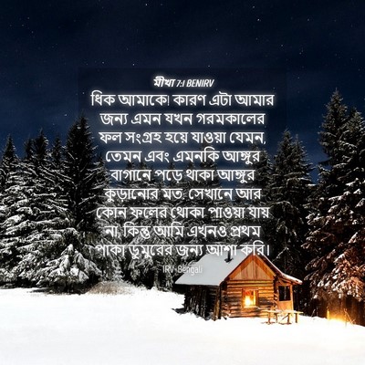 Picture 04 - মীখা 7:1 BENIRV - ধিক আমাকে! কারণ এটা - Bible Verse Picture