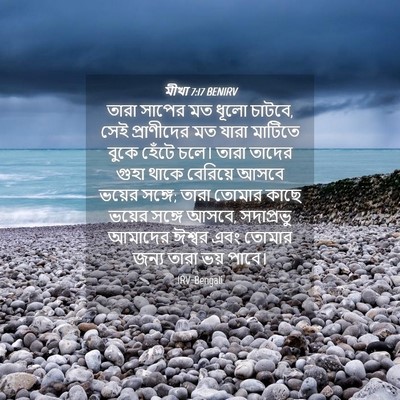 Picture 04 - মীখা 7:17 BENIRV - তারা সাপের মত ধূলো - Bible Verse Picture