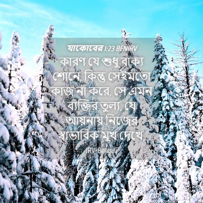 Picture 04 - যাকোবের 1:23 BENIRV - কারণ যে শুধু বাক্য - Bible Verse Picture