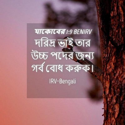 Picture 04 - যাকোবের 1:9 BENIRV - দরিদ্র ভাই তার - Bible Verse Picture