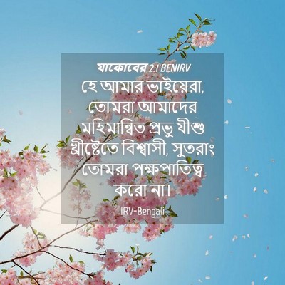 Picture 04 - যাকোবের 2:1 BENIRV - হে আমার ভাইয়েরা, - Bible Verse Picture