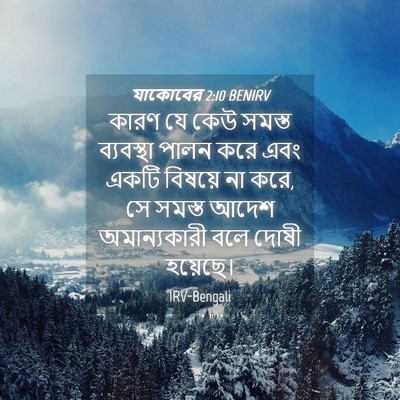 Picture 04 - যাকোবের 2:10 BENIRV - কারণ যে কেউ সমস্ত - Bible Verse Picture