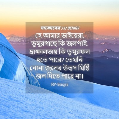 Picture 04 - যাকোবের 3:12 BENIRV - হে আমার ভাইয়েরা, - Bible Verse Picture