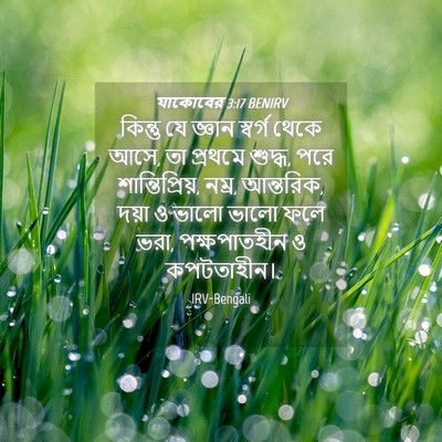 Picture 04 - যাকোবের 3:17 BENIRV - কিন্তু যে জ্ঞান - Bible Verse Picture