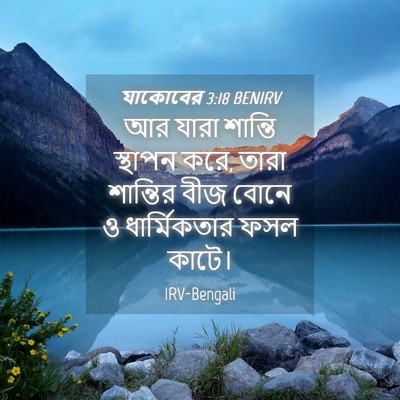 Picture 04 - যাকোবের 3:18 BENIRV - আর যারা শান্তি - Bible Verse Picture
