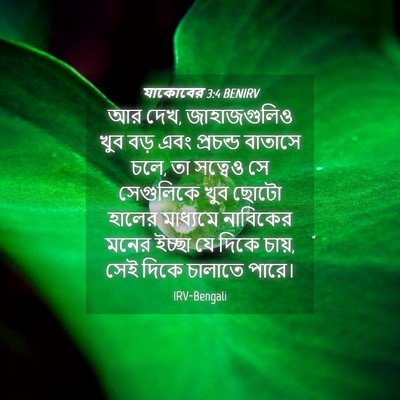 Picture 04 - যাকোবের 3:4 BENIRV - আর দেখ, জাহাজগুলিও - Bible Verse Picture