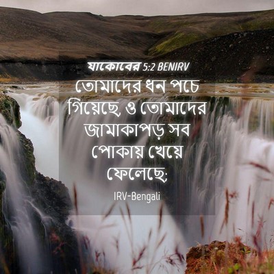 Picture 04 - যাকোবের 5:2 BENIRV - তোমাদের ধন পচে - Bible Verse Picture