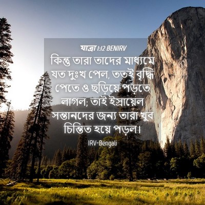 Picture 04 - যাত্ৰা 1:12 BENIRV - কিন্তু তারা তাদের - Bible Verse Picture