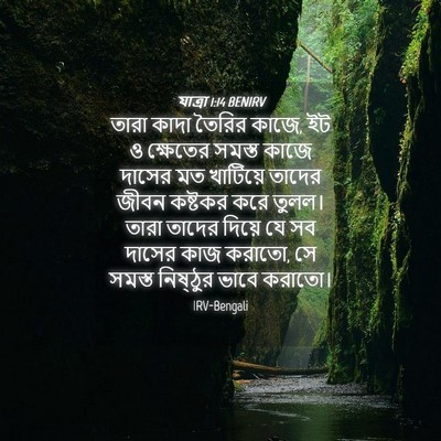 Picture 04 - যাত্ৰা 1:14 BENIRV - তারা কাদা তৈরির - Bible Verse Picture