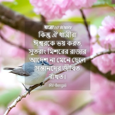 Picture 04 - যাত্ৰা 1:17 BENIRV - কিন্তু ঐ ধাত্রীরা - Bible Verse Picture