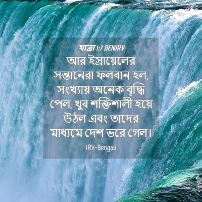 Picture 04 - যাত্ৰা 1:7 BENIRV - আর ইস্রায়েলের - Bible Verse Picture