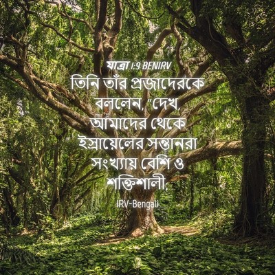 Picture 04 - যাত্ৰা 1:9 BENIRV - তিনি তাঁর - Bible Verse Picture