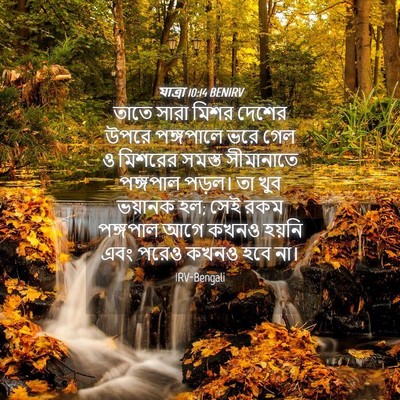Picture 04 - যাত্ৰা 10:14 BENIRV - তাতে সারা মিশর - Bible Verse Picture