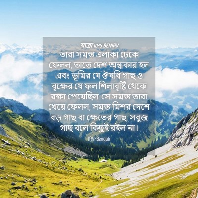 Picture 04 - যাত্ৰা 10:15 BENIRV - তারা সমস্ত এলাকা - Bible Verse Picture