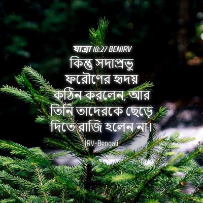 Picture 04 - যাত্ৰা 10:27 BENIRV - কিন্তু সদাপ্রভু - Bible Verse Picture