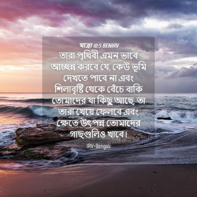 Picture 04 - যাত্ৰা 10:5 BENIRV - তারা পৃথিবী এমন - Bible Verse Picture