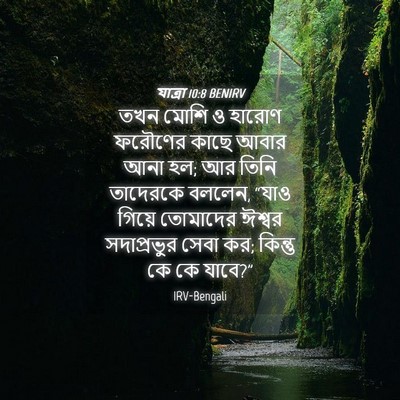 Picture 04 - যাত্ৰা 10:8 BENIRV - তখন মোশি ও হারোণ - Bible Verse Picture