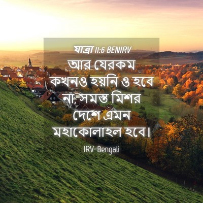 Picture 04 - যাত্ৰা 11:6 BENIRV - আর যেরকম কখনও - Bible Verse Picture