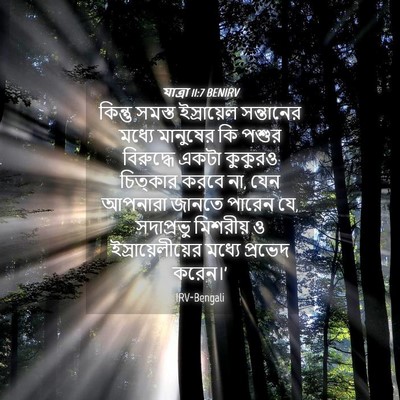 Picture 04 - যাত্ৰা 11:7 BENIRV - কিন্তু সমস্ত - Bible Verse Picture