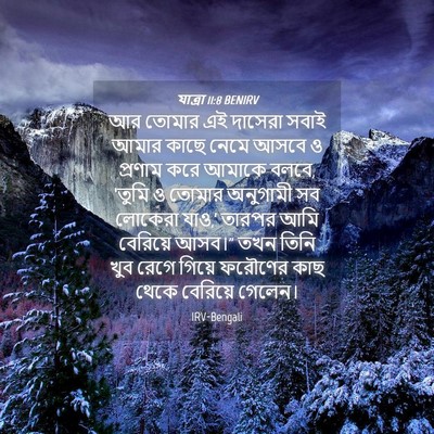 Picture 04 - যাত্ৰা 11:8 BENIRV - আর তোমার এই দাসেরা - Bible Verse Picture