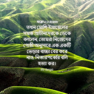 Picture 04 - যাত্ৰা 12:21 BENIRV - তখন মোশি - Bible Verse Picture