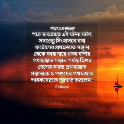 Picture 04 - যাত্ৰা 12:29 BENIRV - পরে মাঝরাতে এই - Bible Verse Picture