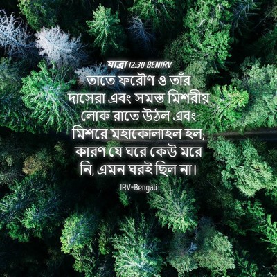 Picture 04 - যাত্ৰা 12:30 BENIRV - তাতে ফরৌণ ও তাঁর - Bible Verse Picture