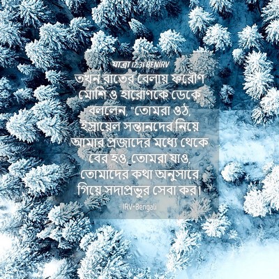 Picture 04 - যাত্ৰা 12:31 BENIRV - তখন রাতের বেলায় - Bible Verse Picture