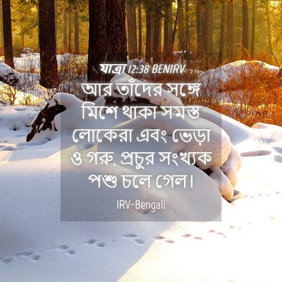 Picture 04 - যাত্ৰা 12:38 BENIRV - আর তাঁদের সঙ্গে - Bible Verse Picture
