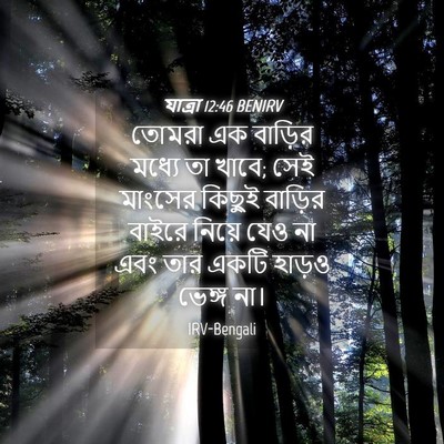 Picture 04 - যাত্ৰা 12:46 BENIRV - তোমরা এক বাড়ির - Bible Verse Picture