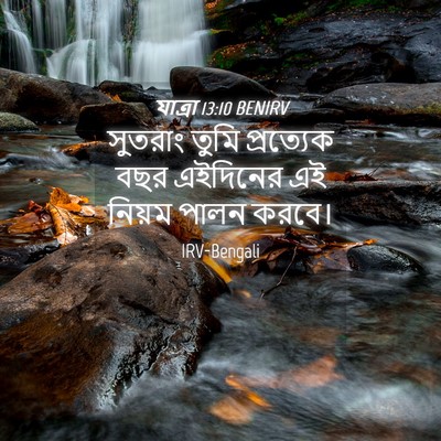Picture 04 - যাত্ৰা 13:10 BENIRV - সুতরাং তুমি - Bible Verse Picture