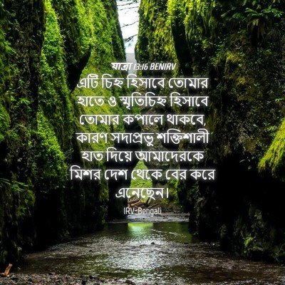 Picture 04 - যাত্ৰা 13:16 BENIRV - এটি চিহ্ন হিসাবে - Bible Verse Picture