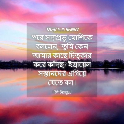 Picture 04 - যাত্ৰা 14:15 BENIRV - পরে সদাপ্রভু - Bible Verse Picture