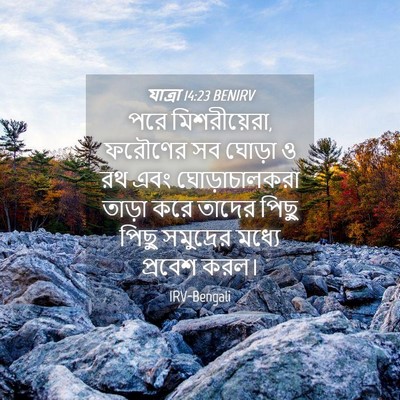 Picture 04 - যাত্ৰা 14:23 BENIRV - পরে মিশরীয়েরা, - Bible Verse Picture