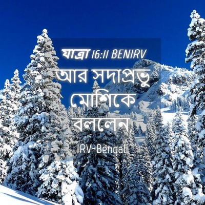Picture 04 - যাত্ৰা 16:11 BENIRV - আর সদাপ্রভু - Bible Verse Picture