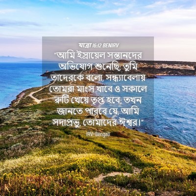 Picture 04 - যাত্ৰা 16:12 BENIRV - “আমি ইস্রায়েল - Bible Verse Picture