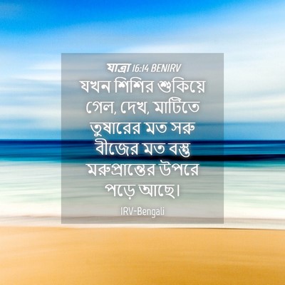 Picture 04 - যাত্ৰা 16:14 BENIRV - যখন শিশির শুকিয়ে - Bible Verse Picture