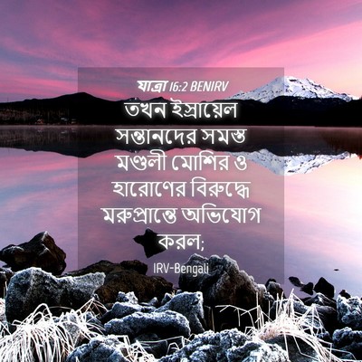 Picture 04 - যাত্ৰা 16:2 BENIRV - তখন ইস্রায়েল - Bible Verse Picture