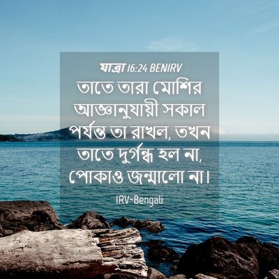 Picture 04 - যাত্ৰা 16:24 BENIRV - তাতে তারা মোশির - Bible Verse Picture