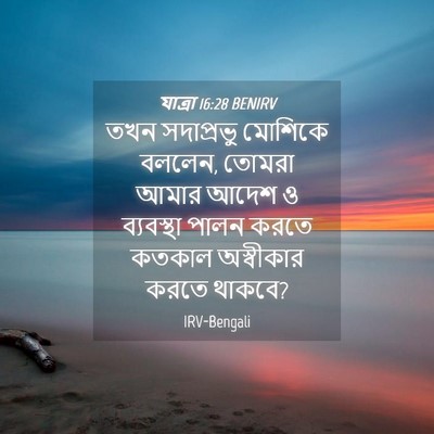 Picture 04 - যাত্ৰা 16:28 BENIRV - তখন সদাপ্রভু - Bible Verse Picture