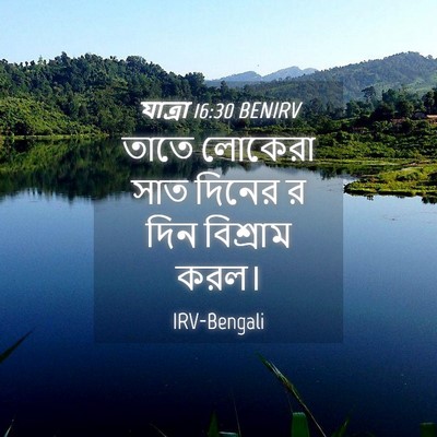 Picture 04 - যাত্ৰা 16:30 BENIRV - তাতে লোকেরা সাত - Bible Verse Picture