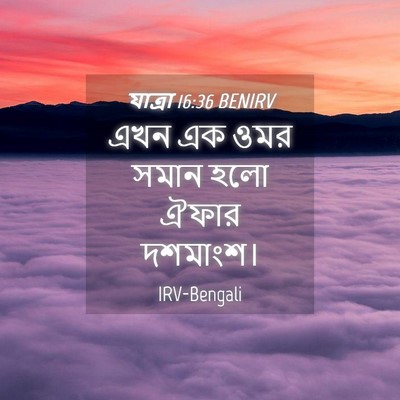 Picture 04 - যাত্ৰা 16:36 BENIRV - এখন এক ওমর সমান হলো - Bible Verse Picture