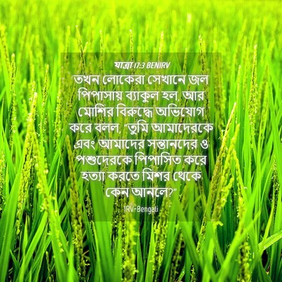 Picture 04 - যাত্ৰা 17:3 BENIRV - তখন লোকেরা সেখানে - Bible Verse Picture